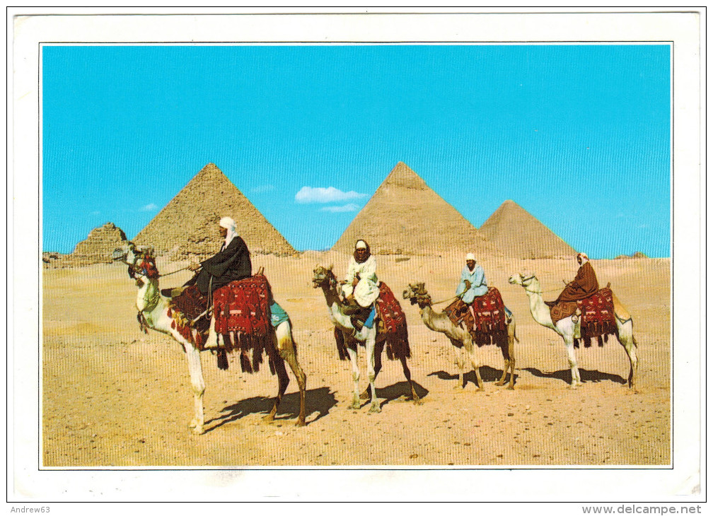 CARTOLINA - Egitto - Egypt - Giza - Piramidi - Cammelli - Viaggiata Per Les Deux Alpes - Gizeh