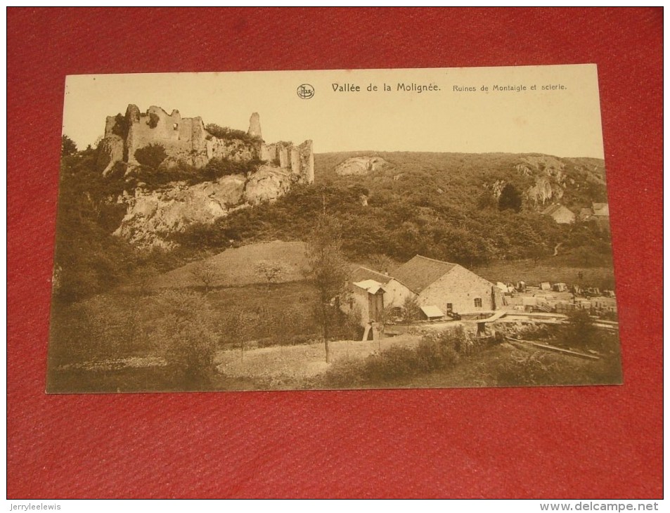 FALAEN  -  Ruines De Montaigle Et Scierie - Onhaye
