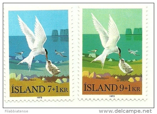 1972 - Islanda 422/23 Gabbiani    ------- - Albatros & Stormvogels