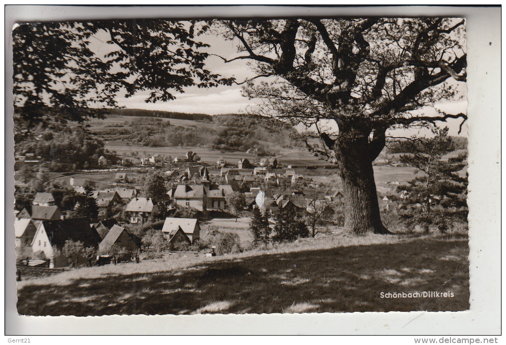 6348 HERBORN - SCHÖNBACH, Panorama, 195.,,, - Herborn