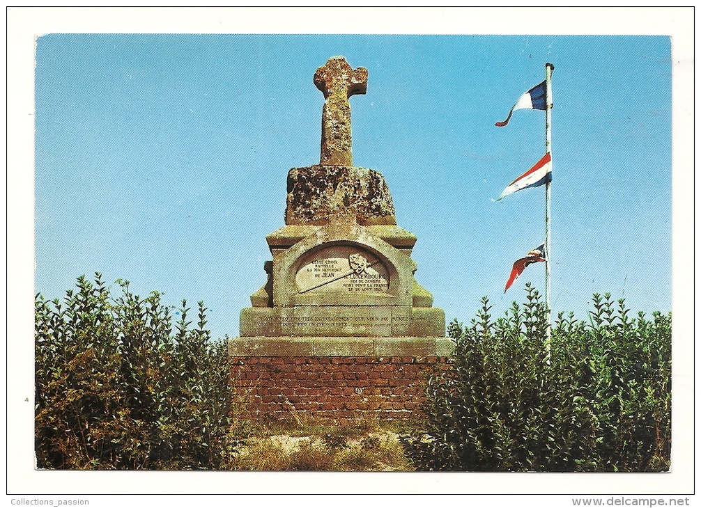Cp, 80, Crécy-en-Ponthieu, Croix élevé à La Mémoire De Jean De Luxembourg - Crecy En Ponthieu