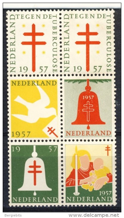 1957 Netherlands Block Of 6 Different  Tuberculosis Labels MNG, - Other & Unclassified