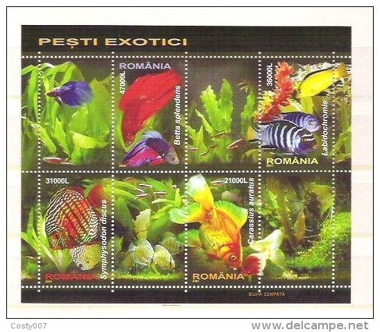 Romania 2005 - Exotic Fish - MNH Perforated Sheet RO.009 - Nuevos