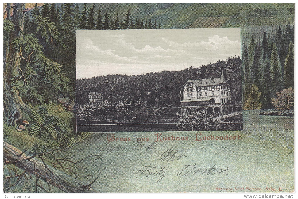 Litho AK Gruss Kurhaus Lückendorf Gasthof ? Bei Hartau Olbersdorf Oybin Bertsdorf Hörnitz Jonsdorf Zittau Petersdorf - Hartau