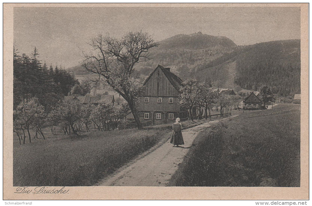 Heimatbilder AK Lausche Bei Waltersdorf Grossschönau Herrenwalde Warnsdorf Niedergrund Saalendorf Jonsdorf Zittau Oybin - Grossschoenau (Sachsen)