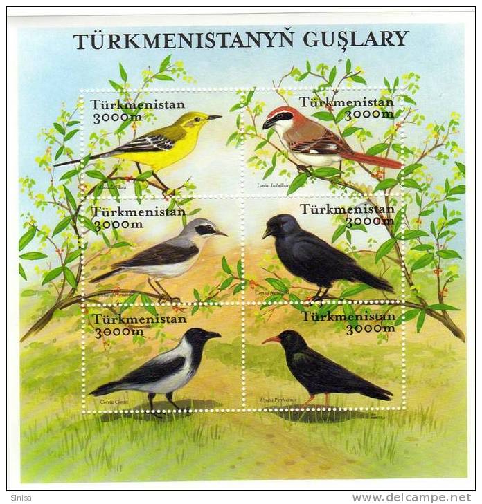 Turkmenistan / Birds / 2 S/S And 12 Stamps - Turkménistan