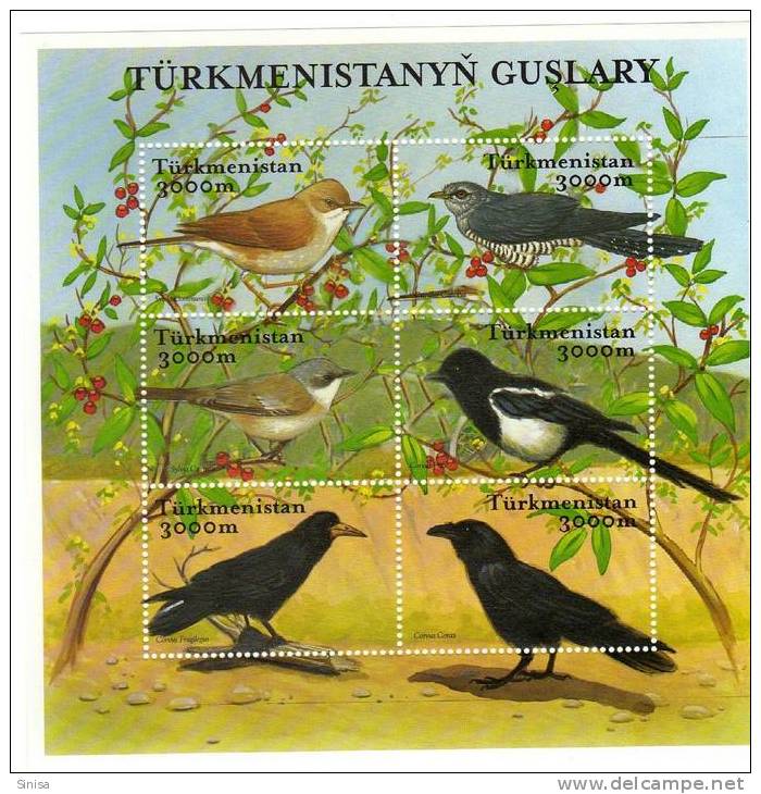 Turkmenistan / Birds / 2 S/S And 12 Stamps - Turkménistan