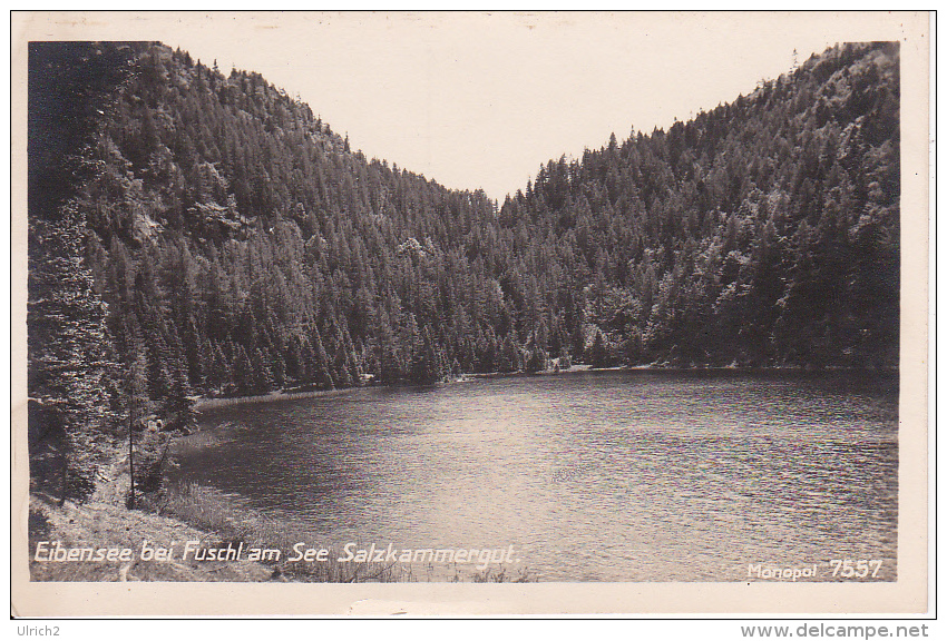 AK Eibensee Bei Fuschl Am See Salzkammergut (6041) - Sonstige & Ohne Zuordnung