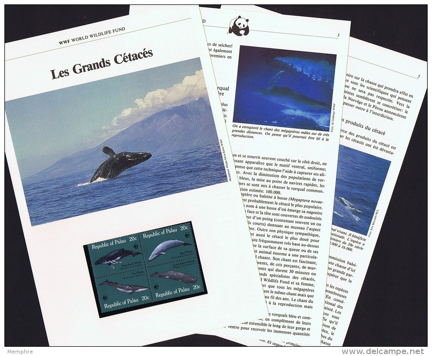 PALAU  Grands Cétaécés Rorquals, Mégaptère, Cachalot  Série ** Sur Feuillet Explicatif Illustré De 6 Pages - Covers & Documents