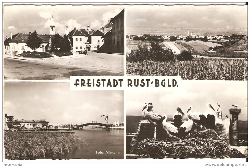 Freistadt - Freistadt
