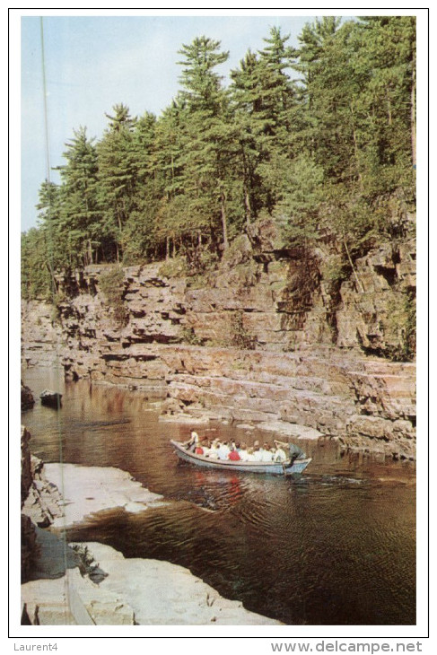 (611) Aviron - Rowing - Canoe (2 Cards) - Aviron