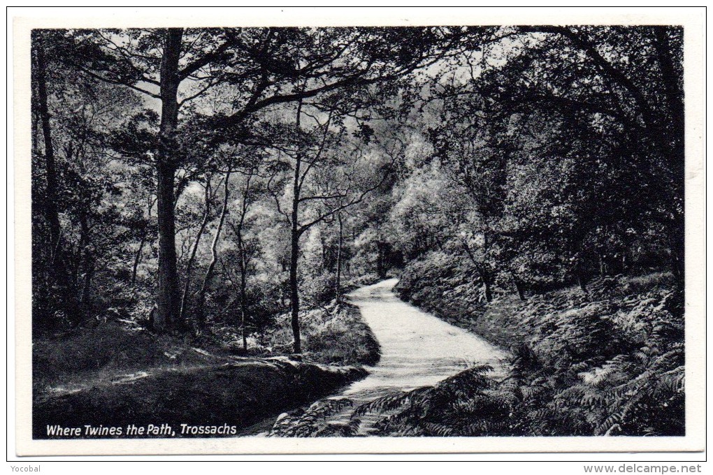 CP, ROYAUME UNI, ECOSSE, STIRLINGSHIRE, Where Twines The Path, Trossachs, Vierge - Stirlingshire