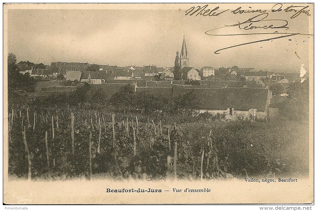 BEAUFORT DU JURA VUE D'ENSEMBLE - Beaufort