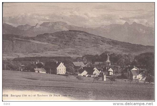 SAVIGNY-VUE GENERALE-NC-(coup De Ciseau A Gauche) - Savigny