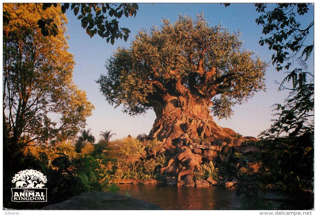 Tree Of Life, Animal Kingdom, Disneyworld, Orlando, Florida, USA Postcard Used Posted To UK 1999 Stamp - Disneyworld