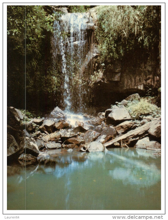 (PF 120) Australia - QLD - Mt Tambourine Park - Atherton Tablelands