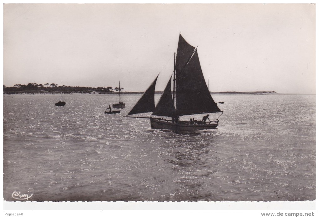 Cp , SPORTS , NOIRMOUTIER , Plaisir De La Voile - Sailing