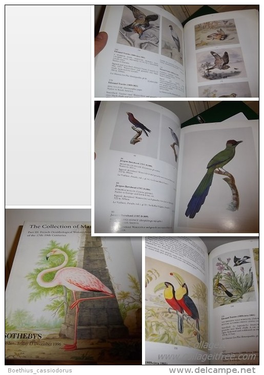 COLL.MARCEL JEANSON" Part III : French Ornithological Watercolours Of The 17 Th - 19 Th / Aquarelles Chasse Ornithologie - Beaux-Arts