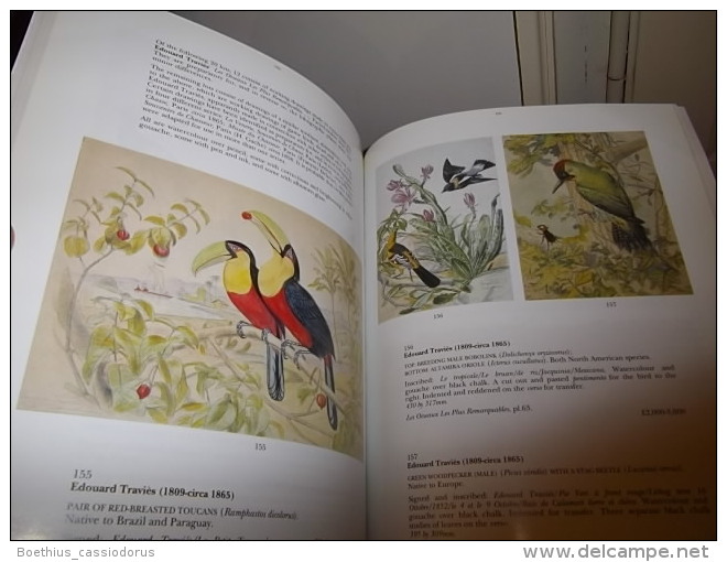 COLL.MARCEL JEANSON" Part III : French Ornithological Watercolours Of The 17 Th - 19 Th / Aquarelles Chasse Ornithologie - Beaux-Arts