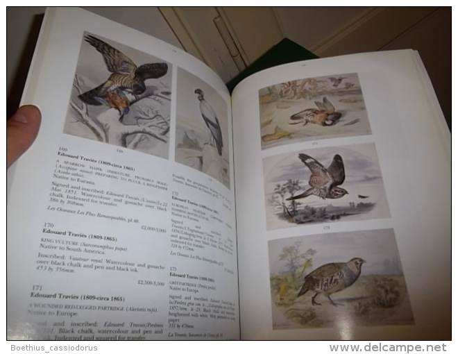 COLL.MARCEL JEANSON" Part III : French Ornithological Watercolours Of The 17 Th - 19 Th / Aquarelles Chasse Ornithologie - Belle-Arti