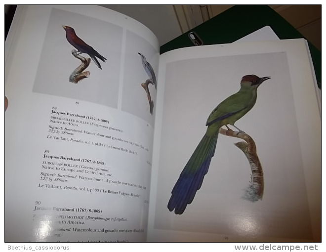 COLL.MARCEL JEANSON" Part III : French Ornithological Watercolours Of The 17 Th - 19 Th / Aquarelles Chasse Ornithologie - Schone Kunsten