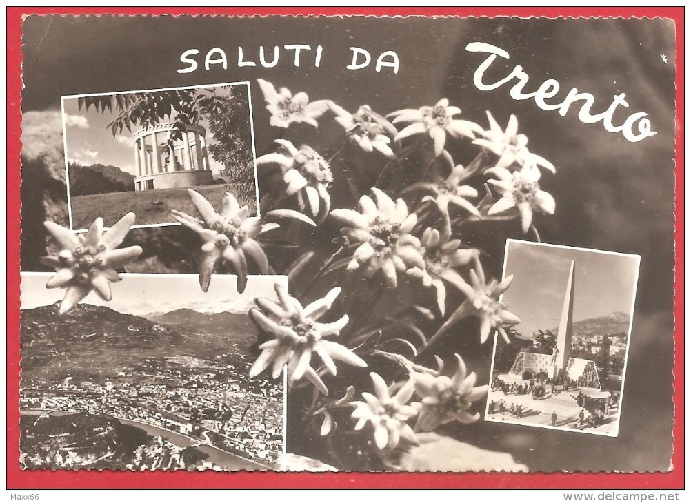 CARTOLINA VG ITALIA - SALUTI DA TRENTO - Vedutine - Stelle Alpine - 10 X 15 - ANNULLO TRENTO 1958 - Greetings From...