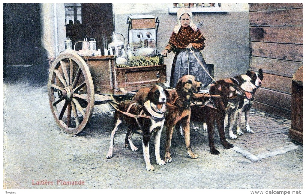 LAITIERE FLAMANDE - SUPERBE CARTE - EN COULEUR - FAISANT SES LIVRAISONS AVEC UN ATTELAGE DE 5 CHIENS- 2 SCANS - TOP !!! - Straßenhandel Und Kleingewerbe