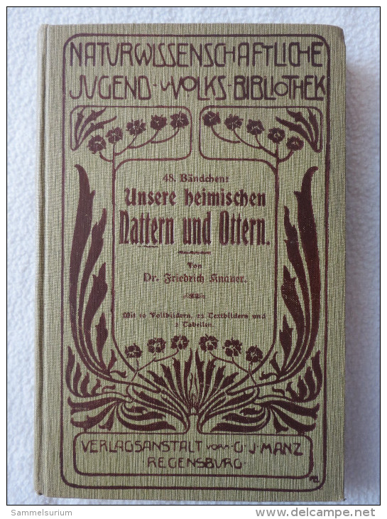 Dr. Friedrich Knauer "Unsere Heimischen Nattern Und Ottern" Aus D. Naturwissenschaftlichen Jugend-/Volks-Bibliothek 1908 - Animaux