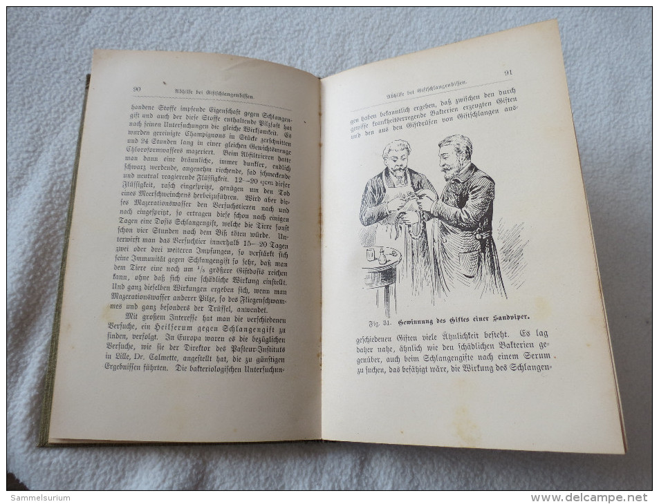 Dr. Friedrich Knauer "Unsere Heimischen Nattern Und Ottern" Aus D. Naturwissenschaftlichen Jugend-/Volks-Bibliothek 1908 - Animales