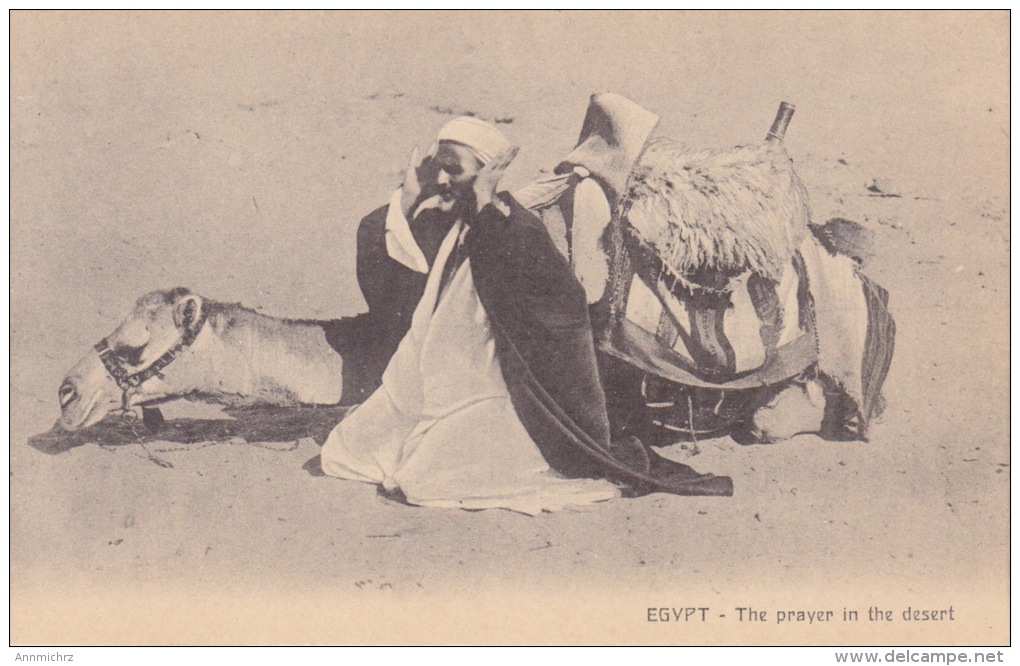 EGYPT PRAYER IN THE DESERT - Personnes