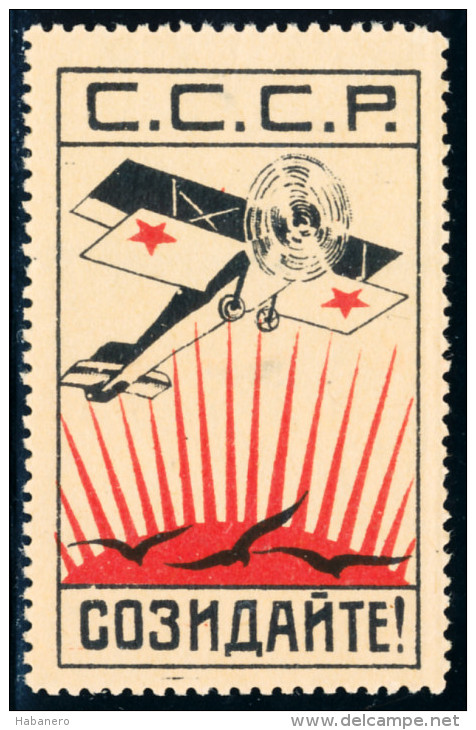 USSR 1924 USSR BUILDS (AIR FLEET) PRIVATE STAMP - Local & Private