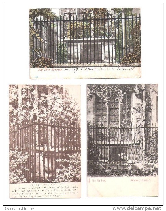 THREE DIFFERENT Old POSTCARDS OF The Fig Tree Watford Church Hertfordshire - Hertfordshire