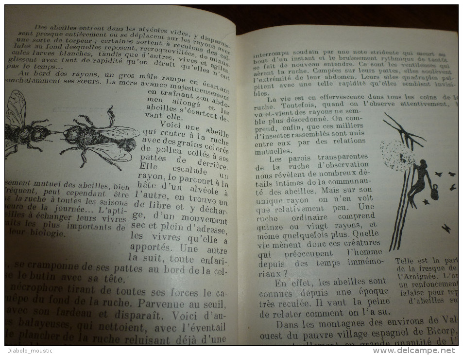 1955  LES ABEILLES par J. Khalifman : Les conquêtes de l´apidologie .          La biologie de la ruchée