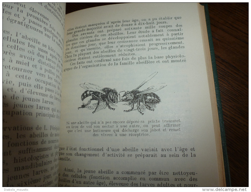1955  LES ABEILLES par J. Khalifman : Les conquêtes de l´apidologie .          La biologie de la ruchée