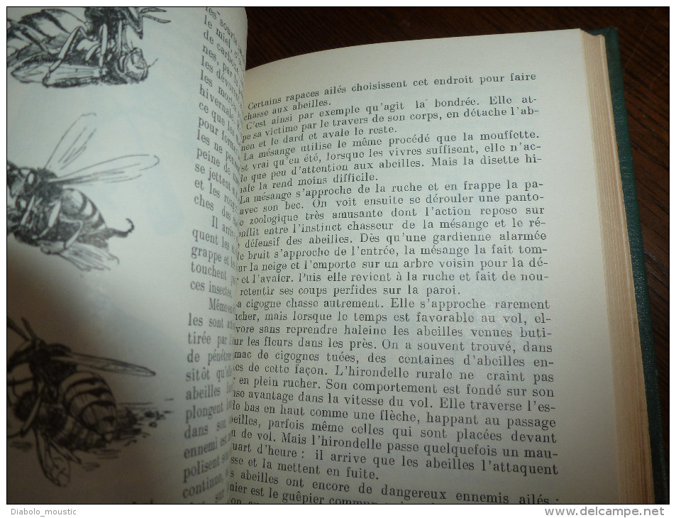 1955  LES ABEILLES par J. Khalifman : Les conquêtes de l´apidologie .          La biologie de la ruchée