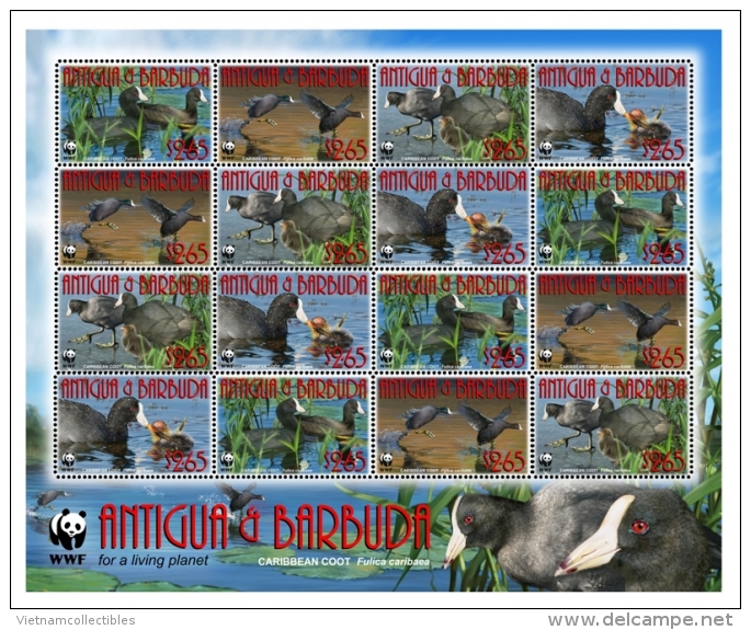 (WWF-450) W.W.F. Antigua & Barbuda Caribbean Coot MNH Sheetlet 2009 - Ongebruikt