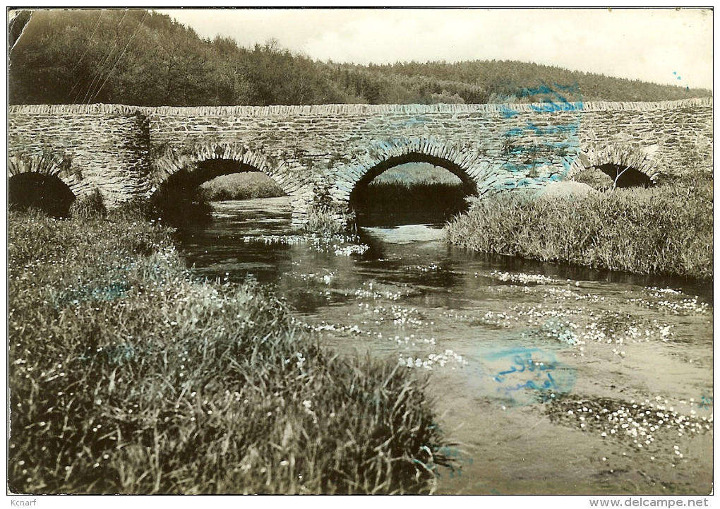 CP De MAISSIN " Vallée De La Haute Lesse , Sous Les Arches De Schiste Du Vieux Pont Marie-thèrèse ...." - Paliseul