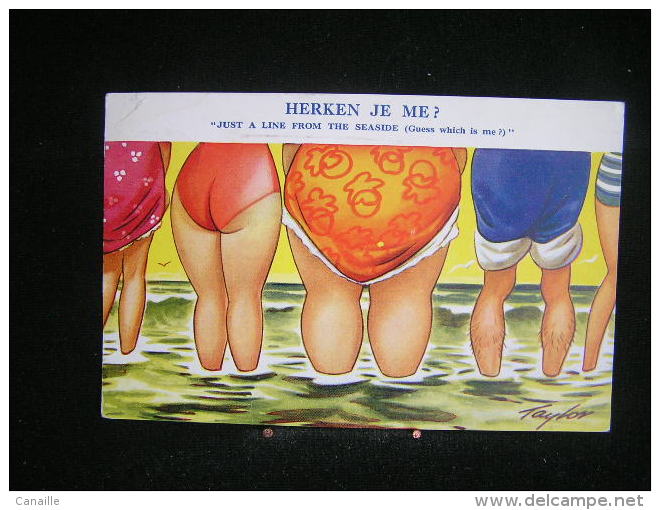 Humour N°32/ Illustrateur Taylor/Herken Je Me ? "Just A Line From The Seaside "( Guess Which Is Me ? ...)/circulé En 19? - Taylor