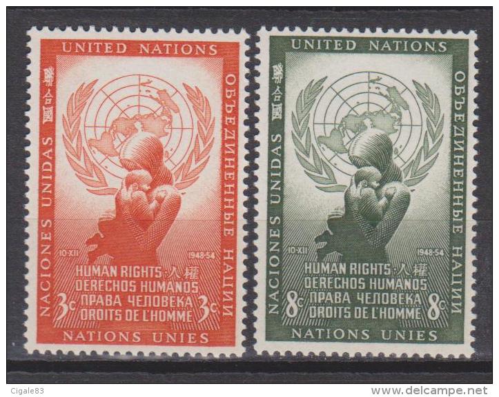 Nations-Unies (New York) N° 33 - 34 *** Les Droits De L'homme - 1954 - Ongebruikt