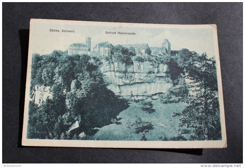 AK Sächs.Schweiz - Schloss Hohenstein- Karte Gebr. 1926 - Hohenstein-Ernstthal