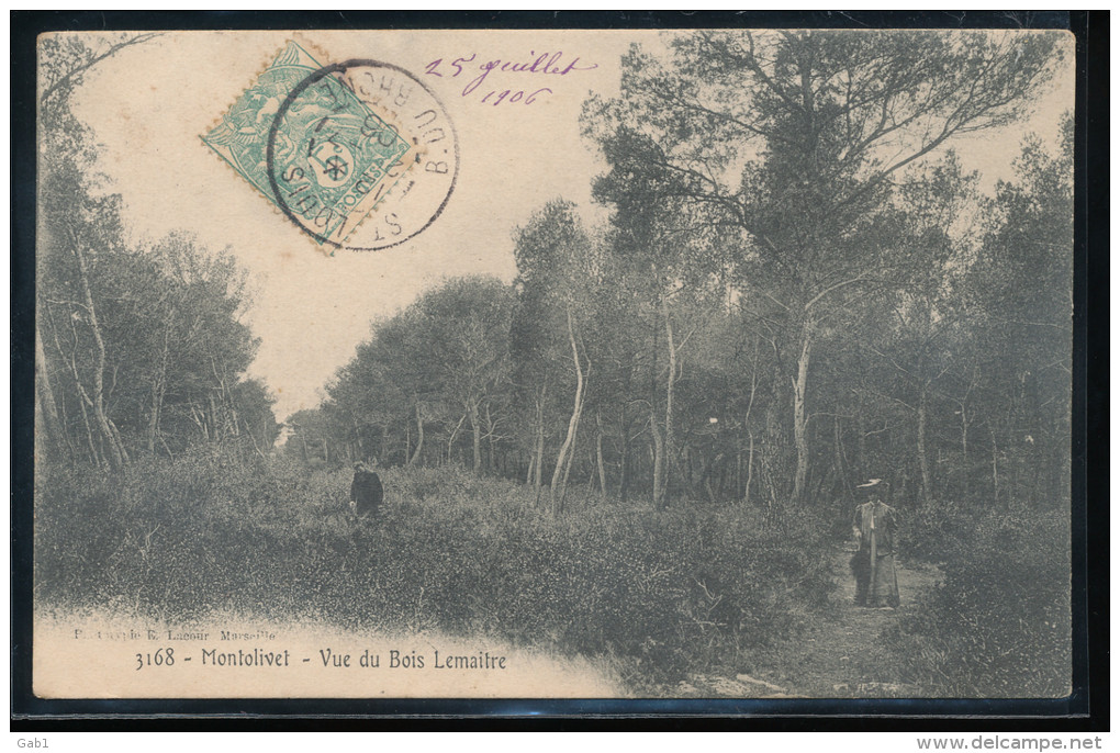 13 --  Marseille --- Montolivet --- Vue Du Bois Lemaitre - Saint Barnabé, Saint Julien, Montolivet