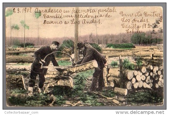 Chile Lumberjacks  Bûcherons Ca 1900 Original Postcard Cpa Ak (W4_196) - Andere & Zonder Classificatie