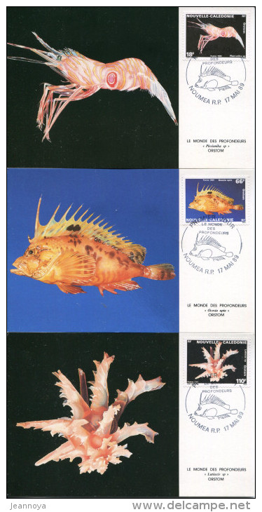 NOUVELLE CALÉDONIE - N° 576 A 578 ( LE MONDE DES PROFONDEURS ) / 3 CM, OBL. NOUMEA LE 17/5/1989 - TB - Maximum Cards