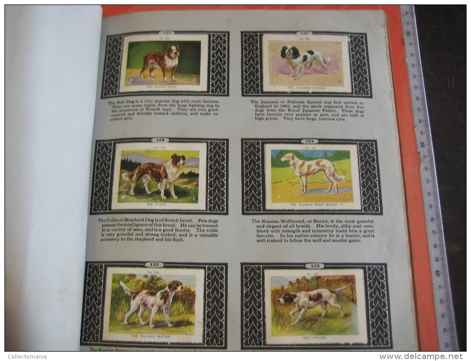 336 different in 1 album printed 1915 MARKSTEIN dogs , aviation, dinos, cows races, chickensTHE PICTURE BOOK OF WISDOM