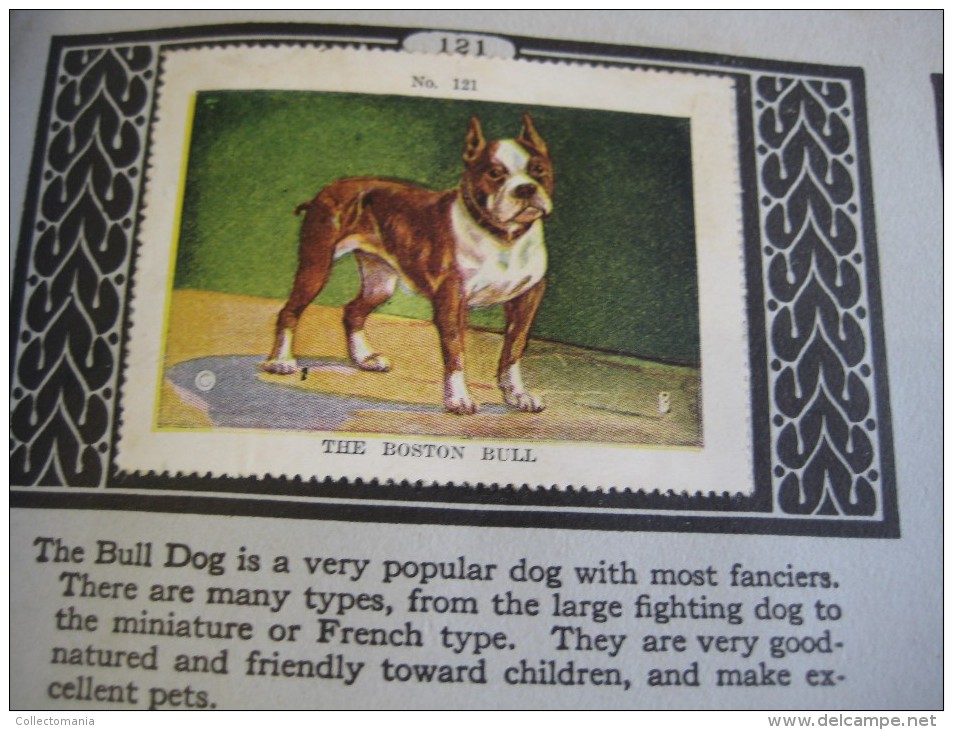 336 different in 1 album printed 1915 MARKSTEIN dogs , aviation, dinos, cows races, chickensTHE PICTURE BOOK OF WISDOM