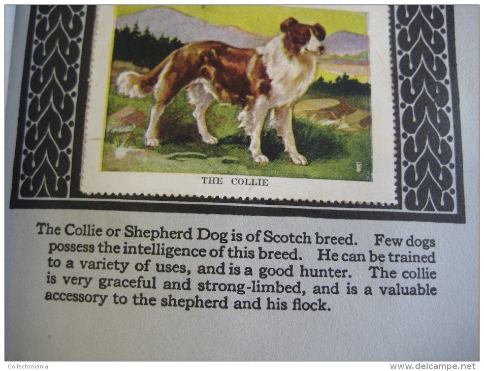 336 different in 1 album printed 1915 MARKSTEIN dogs , aviation, dinos, cows races, chickensTHE PICTURE BOOK OF WISDOM