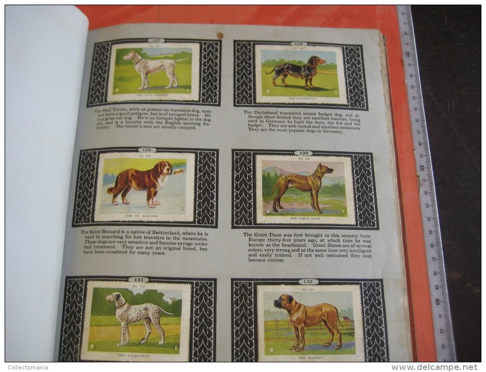 336 different in 1 album printed 1915 MARKSTEIN dogs , aviation, dinos, cows races, chickensTHE PICTURE BOOK OF WISDOM