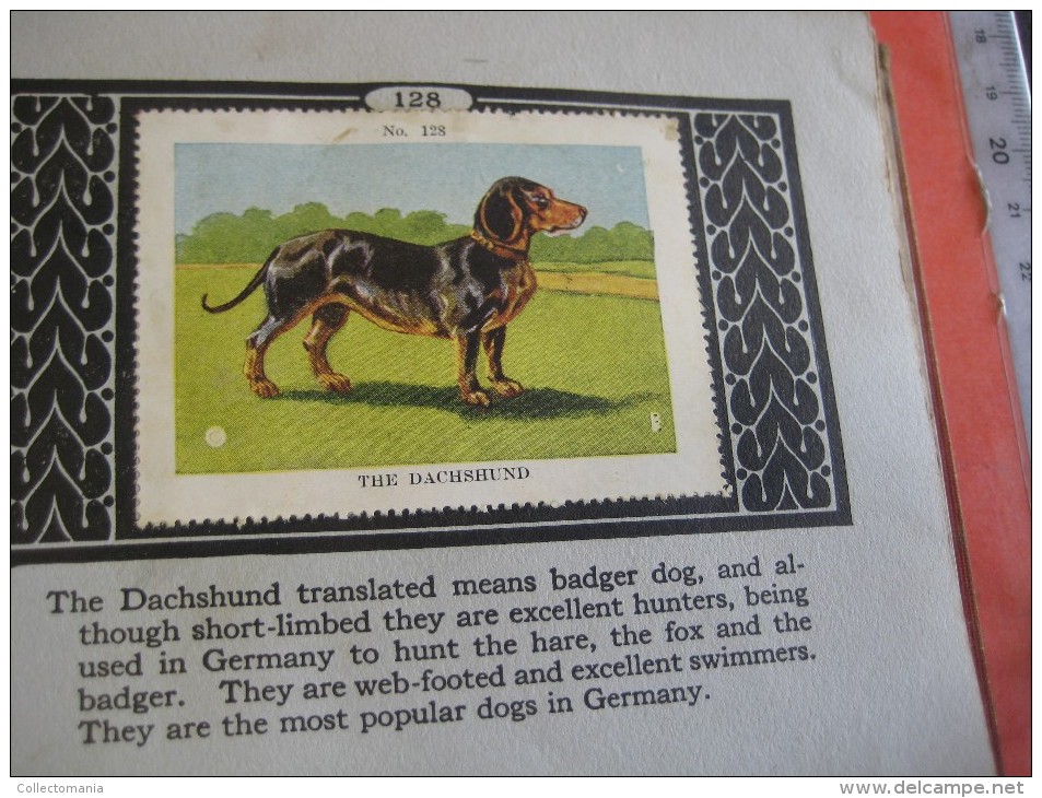 336 different in 1 album printed 1915 MARKSTEIN dogs , aviation, dinos, cows races, chickensTHE PICTURE BOOK OF WISDOM