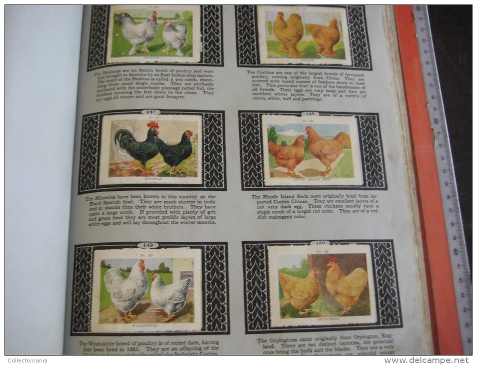 336 different in 1 album printed 1915 MARKSTEIN dogs , aviation, dinos, cows races, chickensTHE PICTURE BOOK OF WISDOM