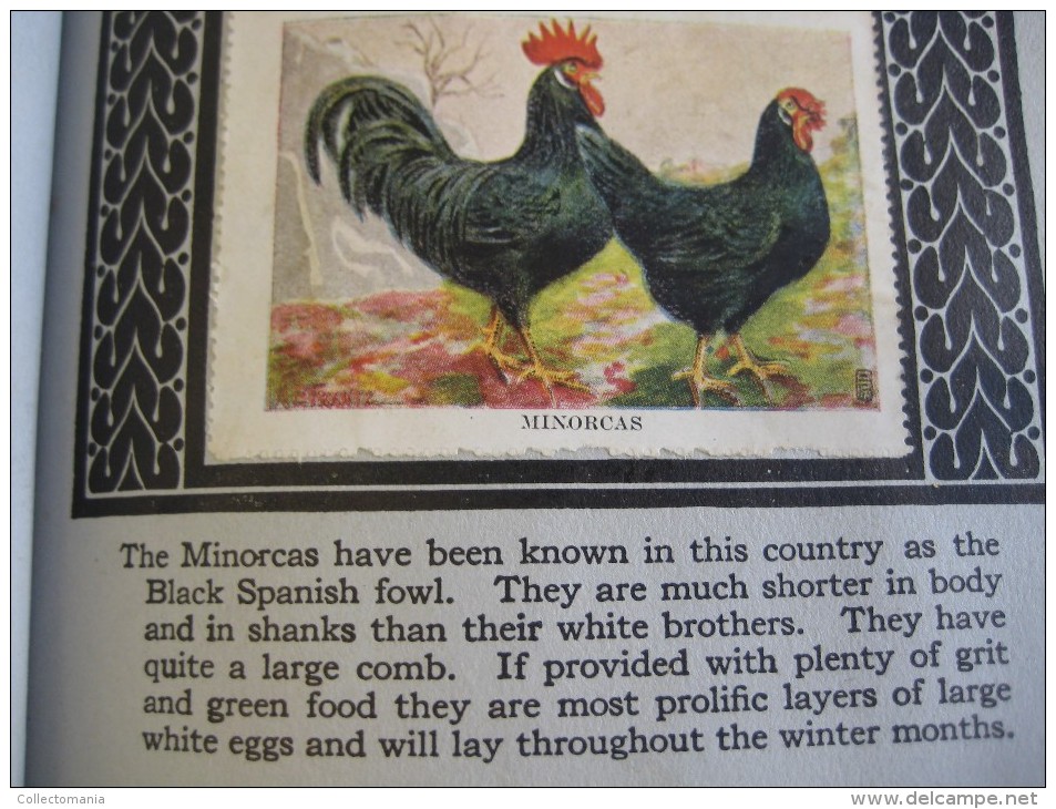 336 different in 1 album printed 1915 MARKSTEIN dogs , aviation, dinos, cows races, chickensTHE PICTURE BOOK OF WISDOM